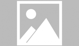 最新肉片动漫,探索肉食爱好者心中的奇幻世界